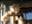9 stycken skogisar